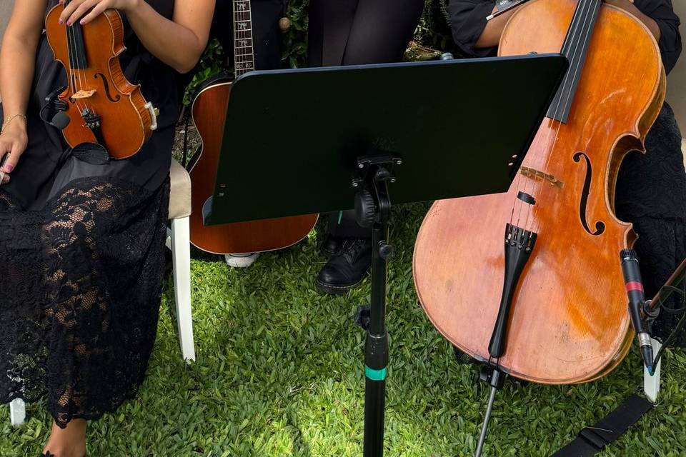 Quarteto cordas