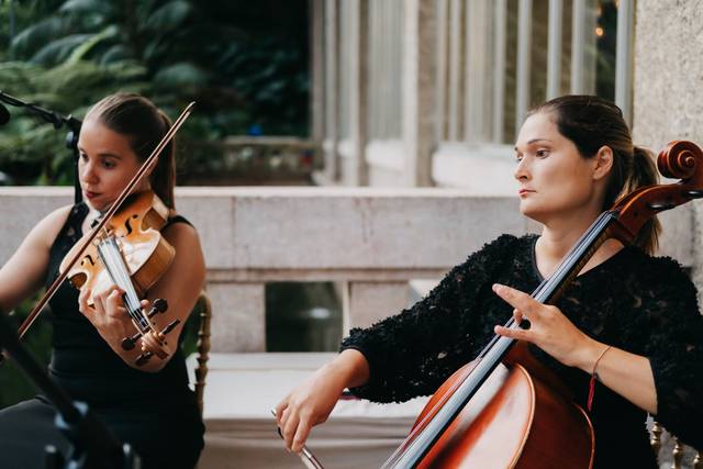Quarteto de cordas