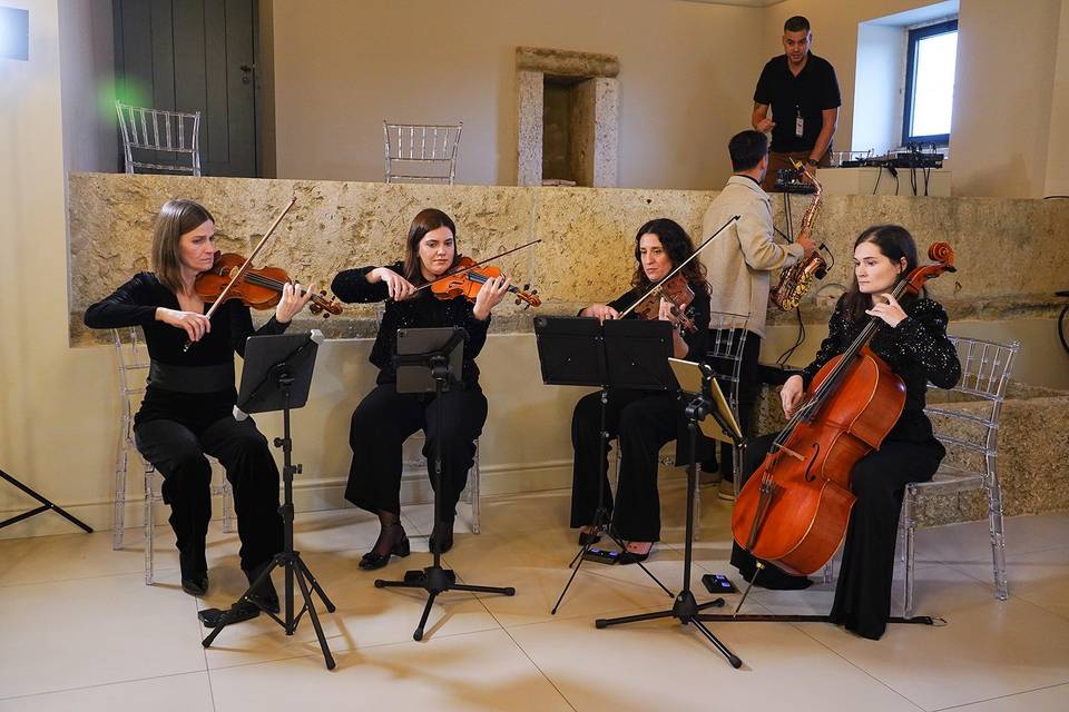 Quarteto de cordas