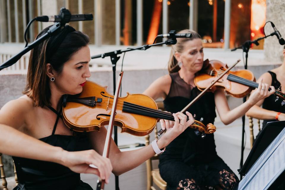 Quarteto de cordas