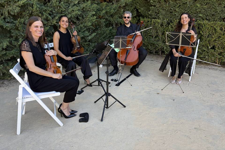 Quarteto de cordas