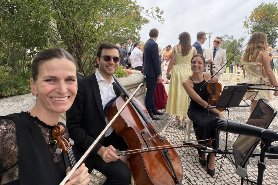 Trio (2 violinos e cello)