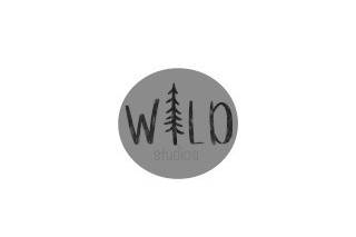Wild Studios logo