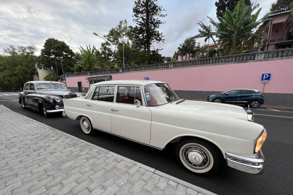 Mercedes 230S