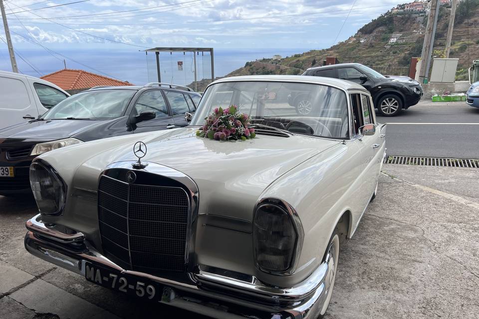 Mercedes 230S