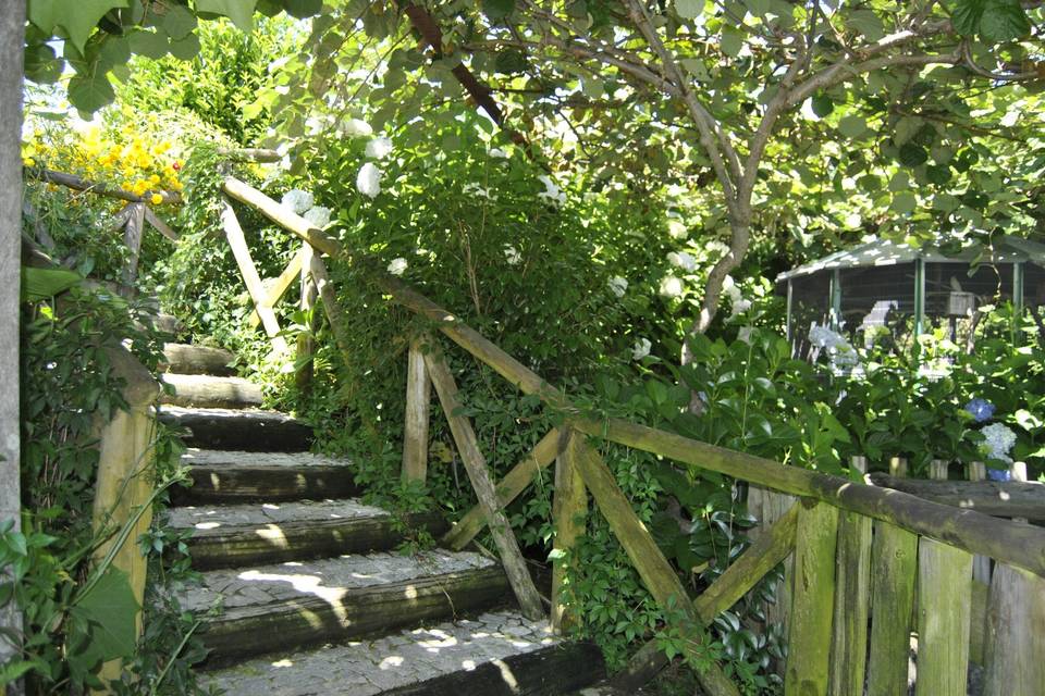 Jardim da piscina