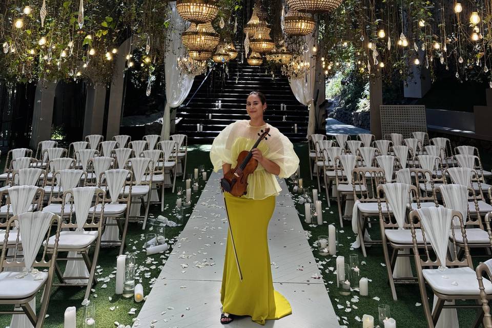 Wedding