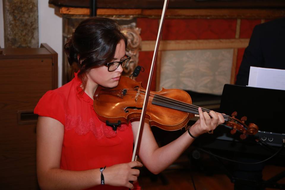 Violino