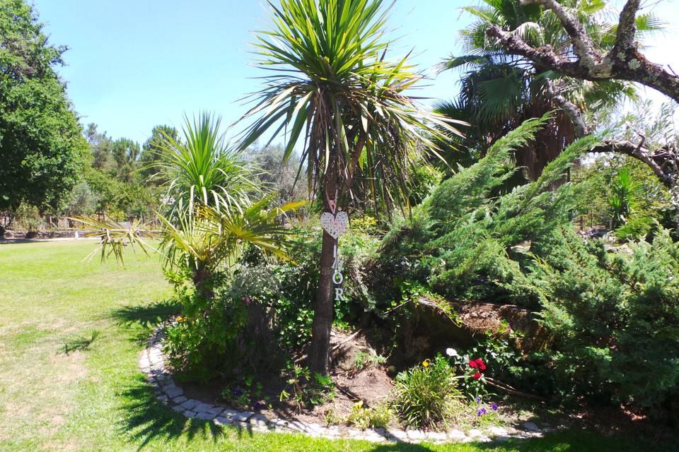 Quinta Fontinha da Pedra