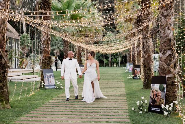 Our palm tree avenue