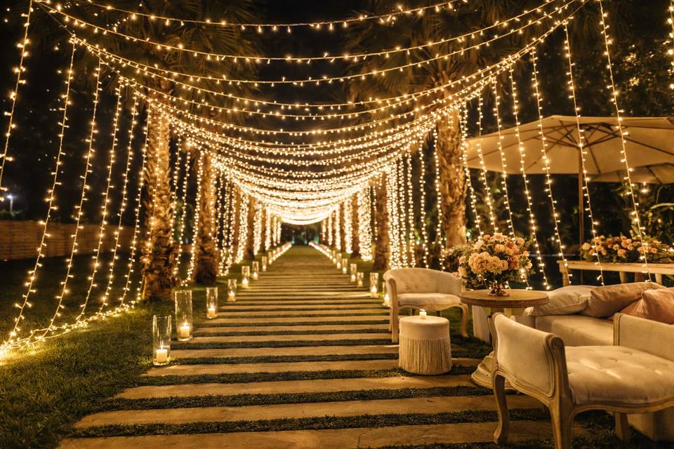 Avenida das palmeiras