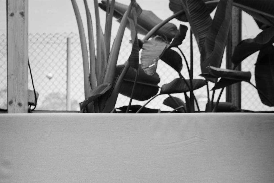 Machado's Fotografia
