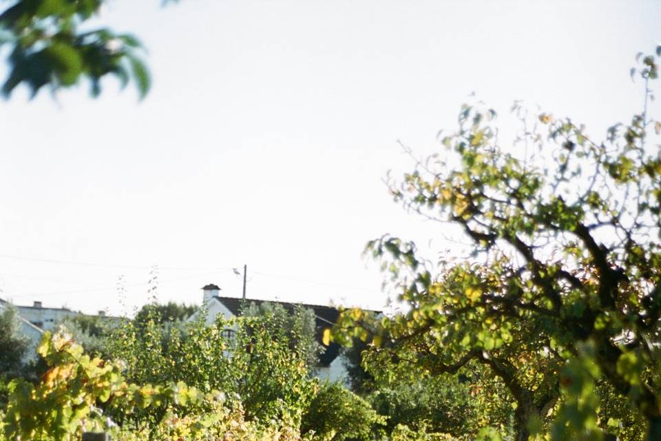 Bem-Haja Nelas Esplanada