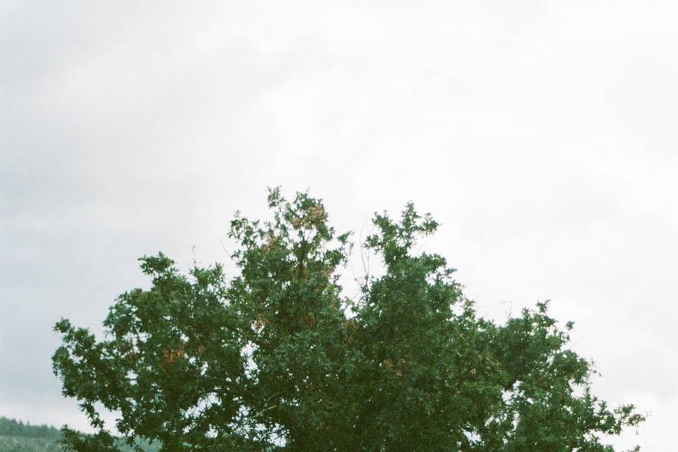 Jardim de 2 hectares