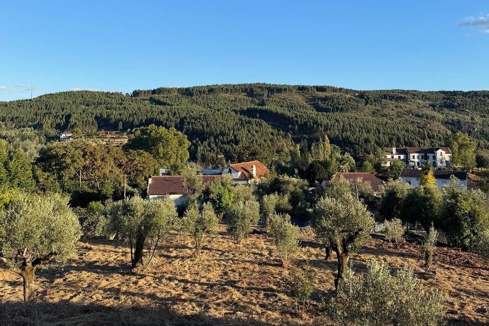 Jardim de 2 hectares