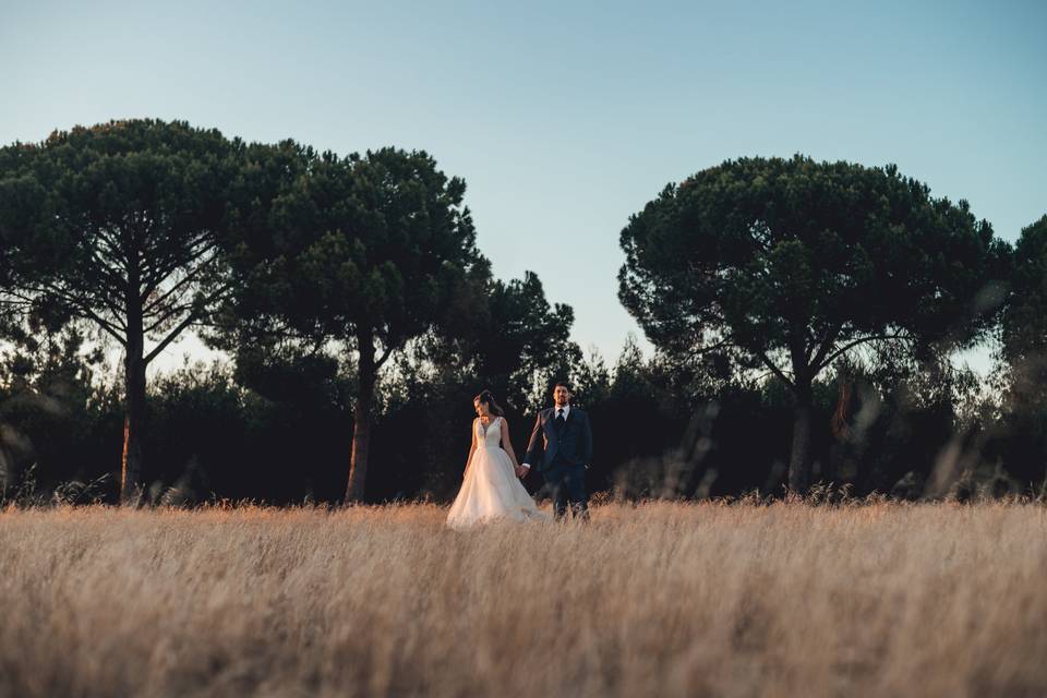 S&T Casamento