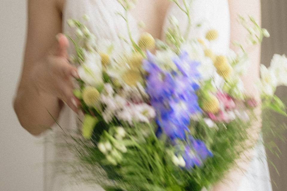 Filipe Montes Photography