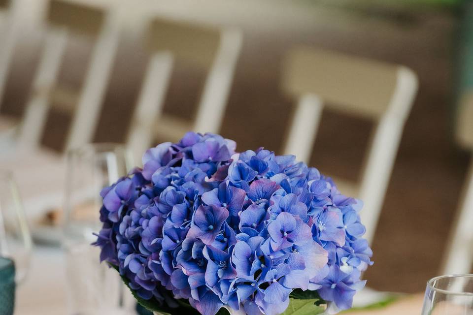 Decoração