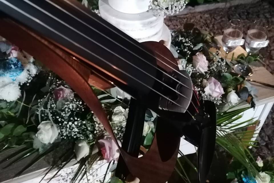 Corte do bolo ao som do violin