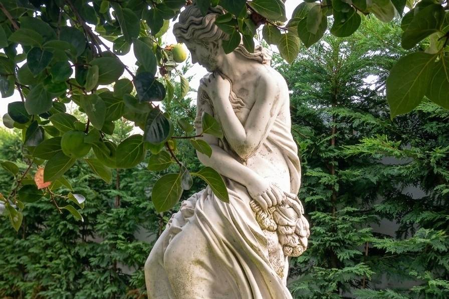 Detalhes do Jardim