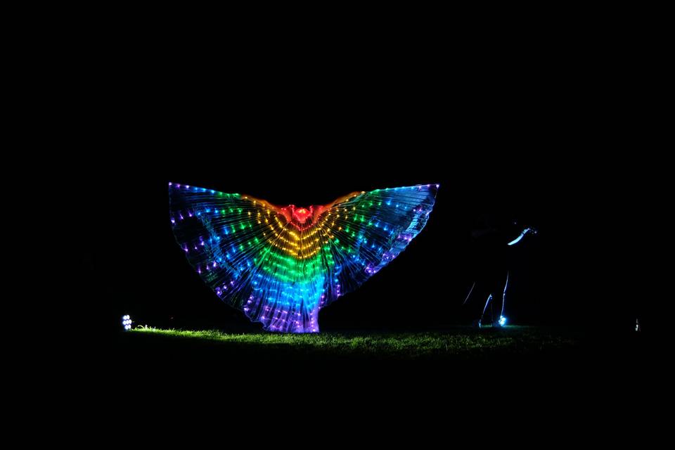 Led wings