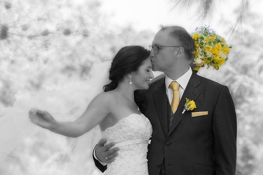 Prowedding - Fotografia de Eventos