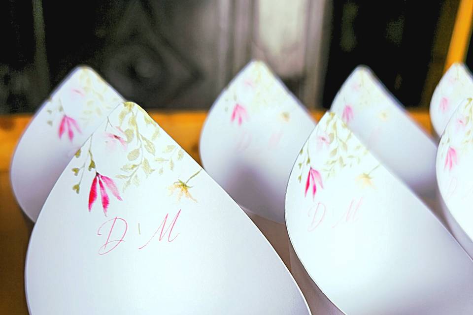 Cones de arroz