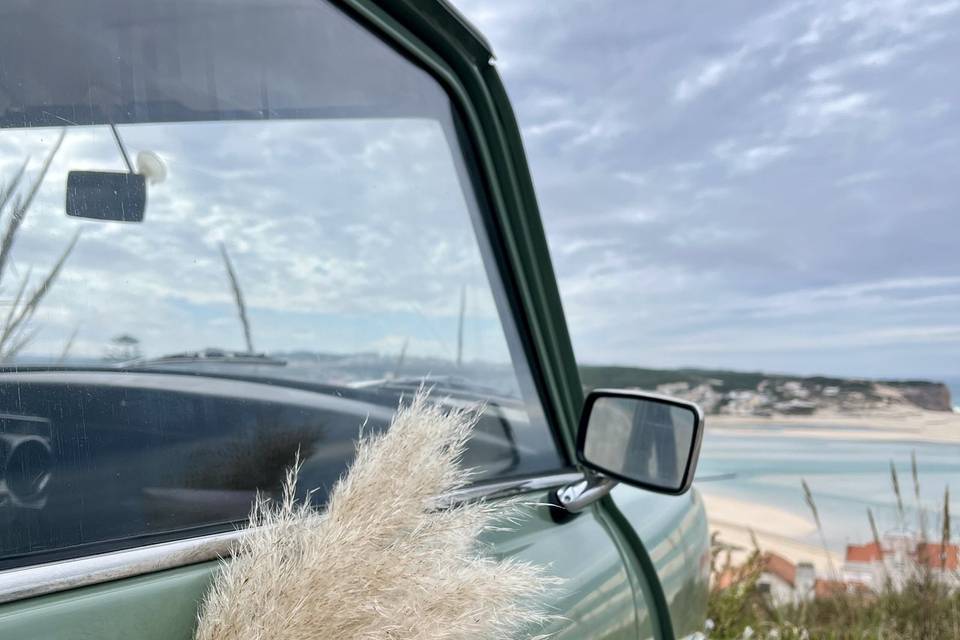 Mini 1975