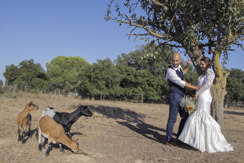 Casamento