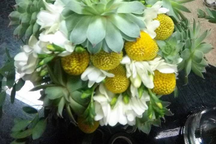 Bouquet suculentas