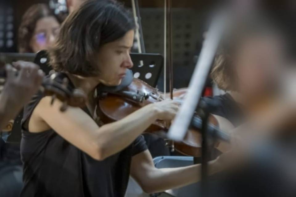 Violino ao só