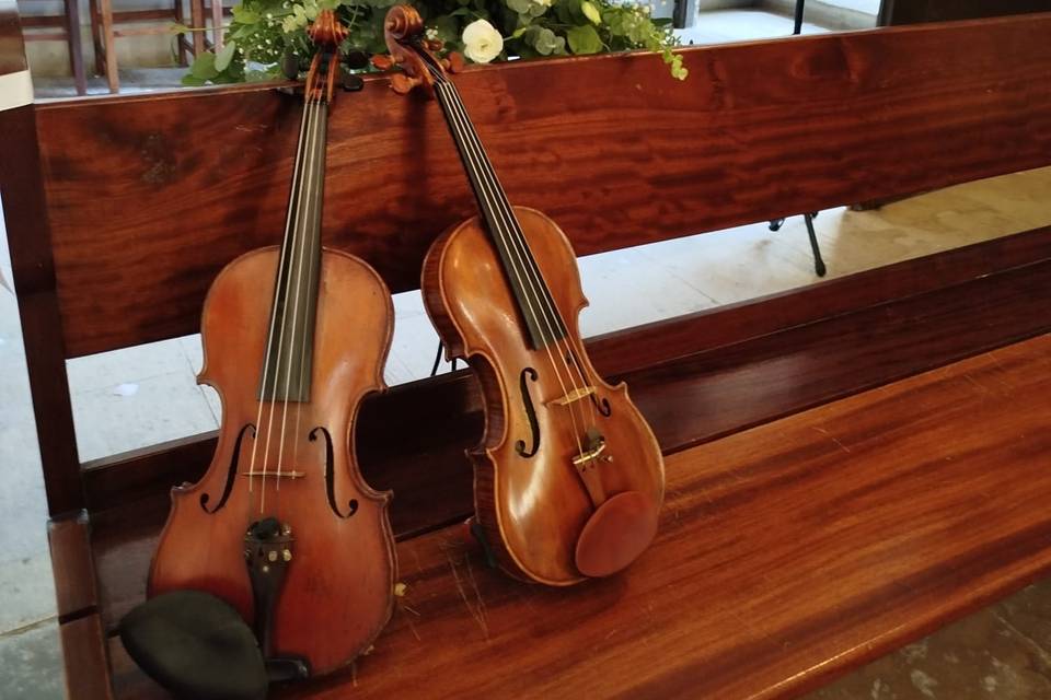 Violino LX
