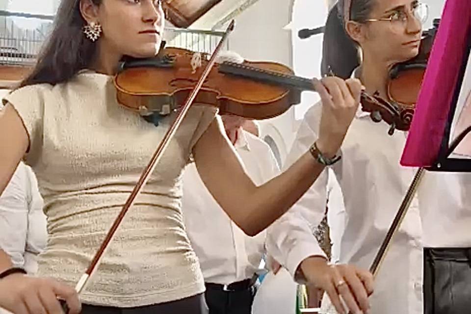 2 violinos