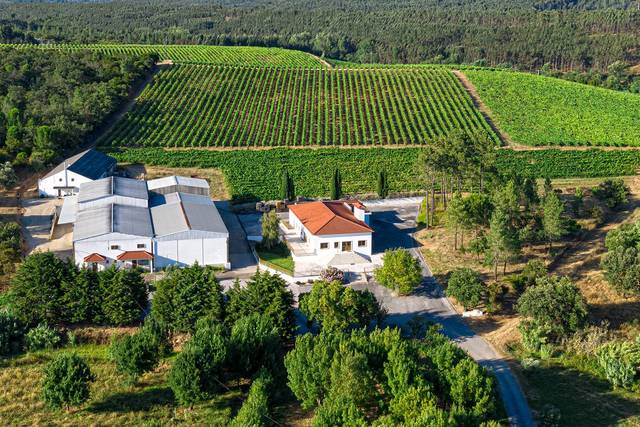 Vista aérea