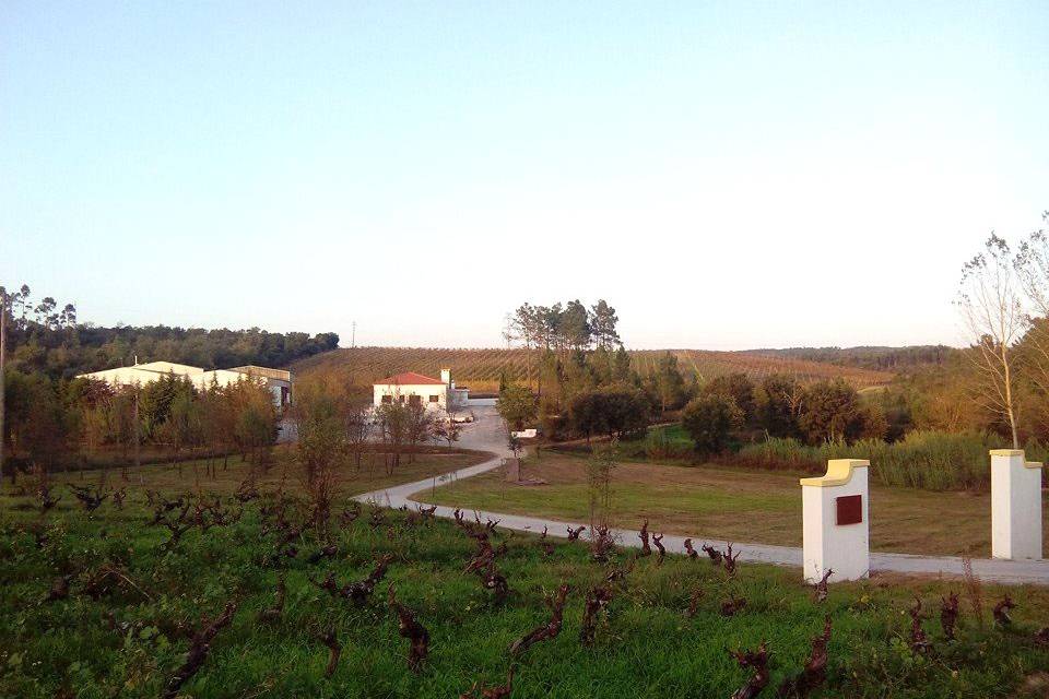 Entrada