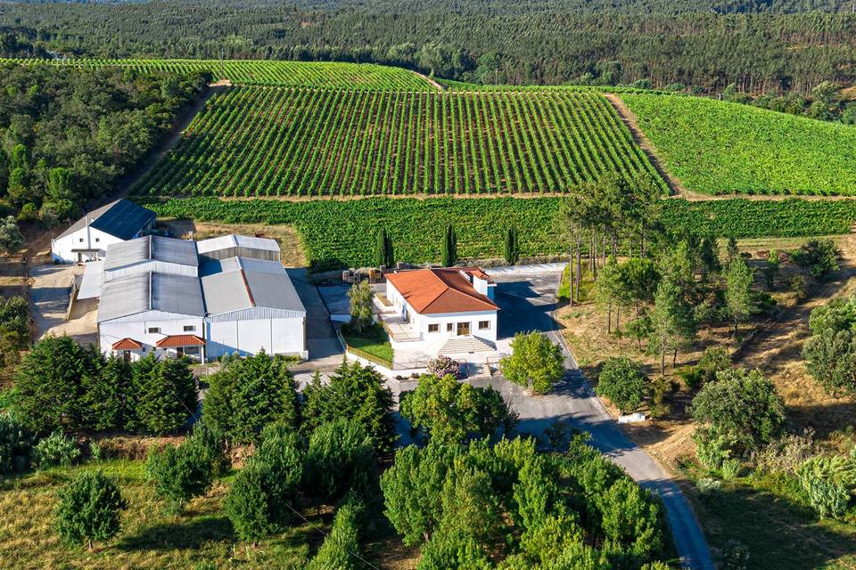 Vista aérea