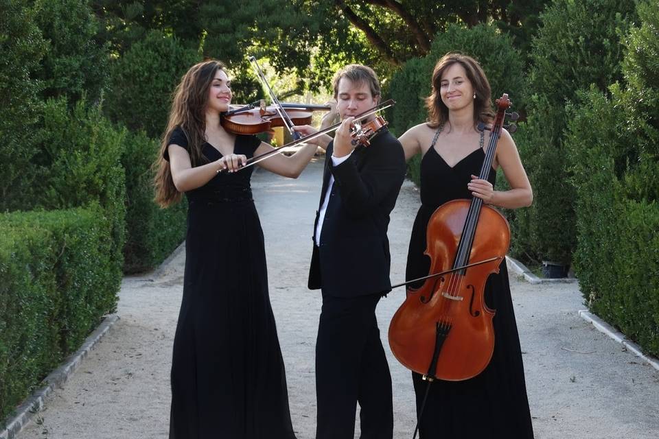 Trio de Cordas