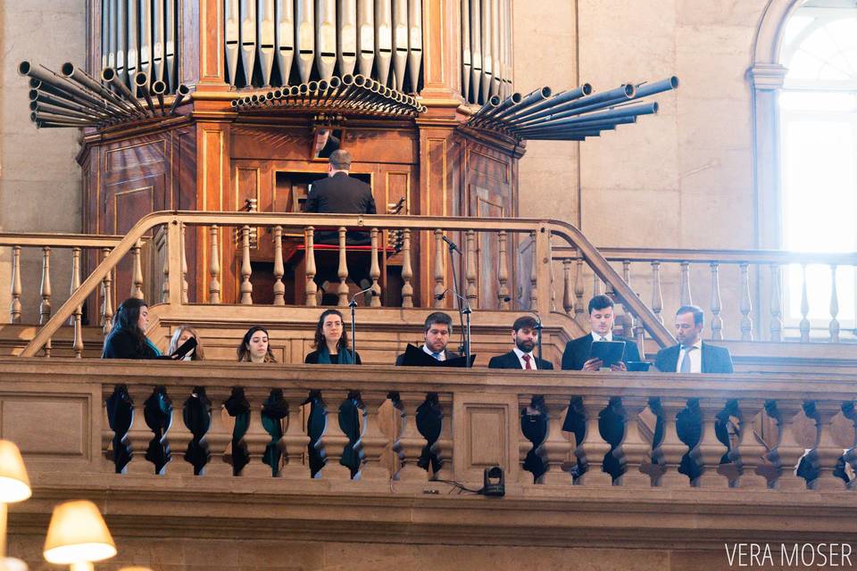 Coro Alto