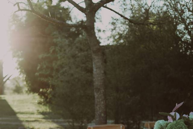 Casamento na Natureza