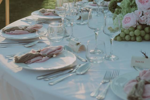 Green Tie Collection