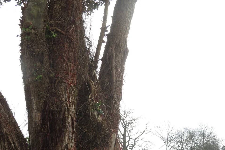 Cadeira de realizador