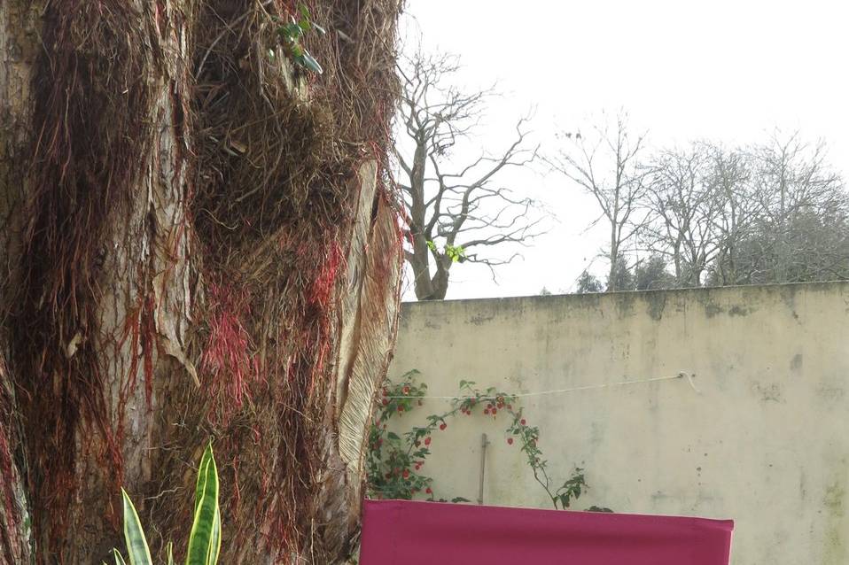 Cadeira de realizador