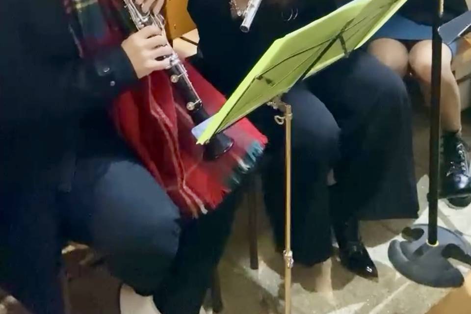 Clarinete e flautas