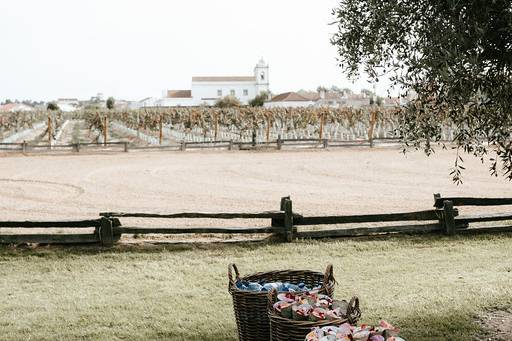 Jardim das Oliveiras