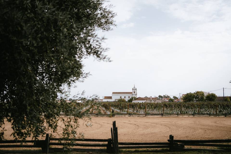 Jardim das Oliveiras