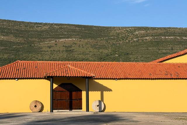 Quinta do Moinho -  Alvados