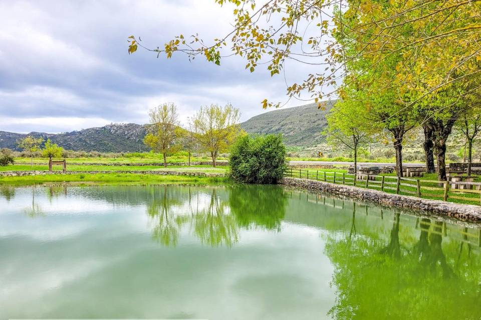 Quinta do Moinho -  Alvados