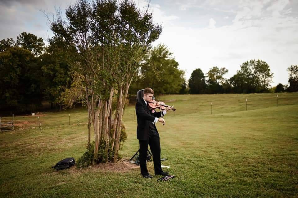 Violinista e violista A.J.