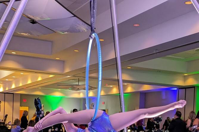 Aerialist