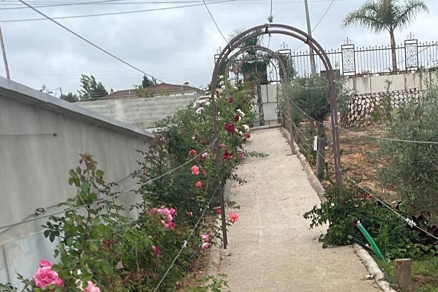 Túnel das Roseiras